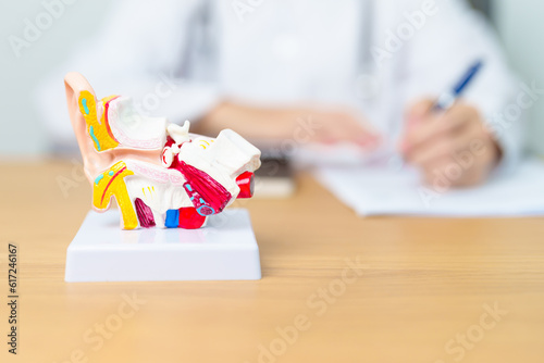Doctor with human Ear anatomy model. Ear disease, Atresia, Otitis Media, Pertorated Eardrum, Meniere syndrome, otolaryngologist, Ageing Hearing Loss, Schwannoma and Health photo