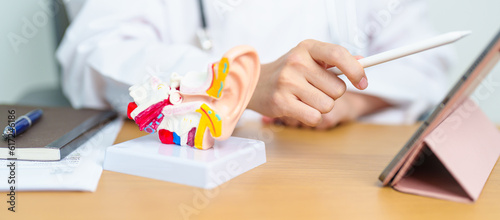 Doctor with human Ear anatomy model with tablet. Ear disease, Atresia, Otitis Media, Pertorated Eardrum, Meniere syndrome, otolaryngologist, Ageing Hearing Loss, Schwannoma and Health photo