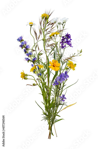 Summer bouquet. Composition of wild flowers and herbs isolated on white background.