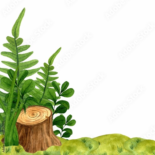 Frame from tree mossy stump with green plants, lingonberry leaves and ferns. Watercolor hand drawn illustration on white background. Template for the design banner, cards, flyers, children's interior.