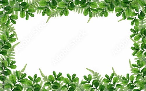 Frame from lingonberry leaves and ferns with copy space. Forest wildlife scene. Watercolor hand drawn illustration on white background. Template for design botanical illustrations.
