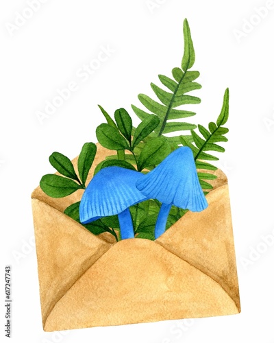 Paper envelope with fern and lingonberry leaves, blue mushrooms inside. Watercolor hand drawn illustration isolated on white background. Template for design botanical illustrations.