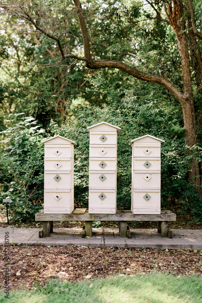 A trio of beehive houses underneath a tree outside A trio of beehive houses underneath a tree outside
