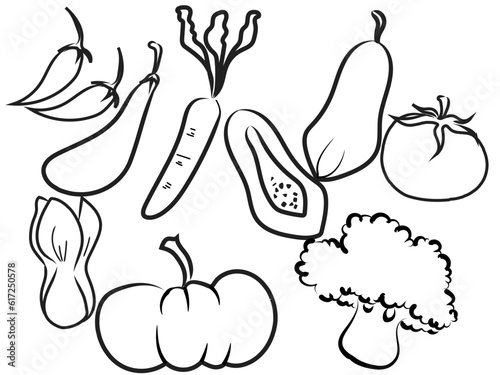 set of vegetables outline foods