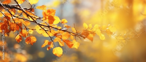 Autumnal background with yellow leaves 