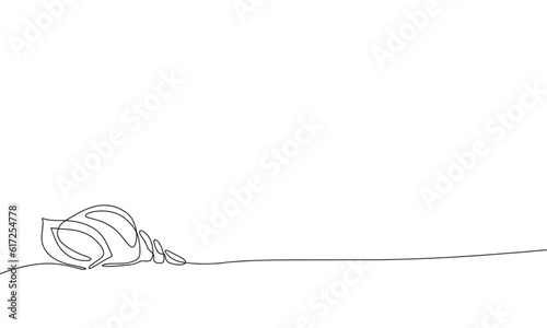 Shell in continuous line art drawing style. Silhouette of seashell, marine life. Black linear sketch isolated on white background. Vector illustration