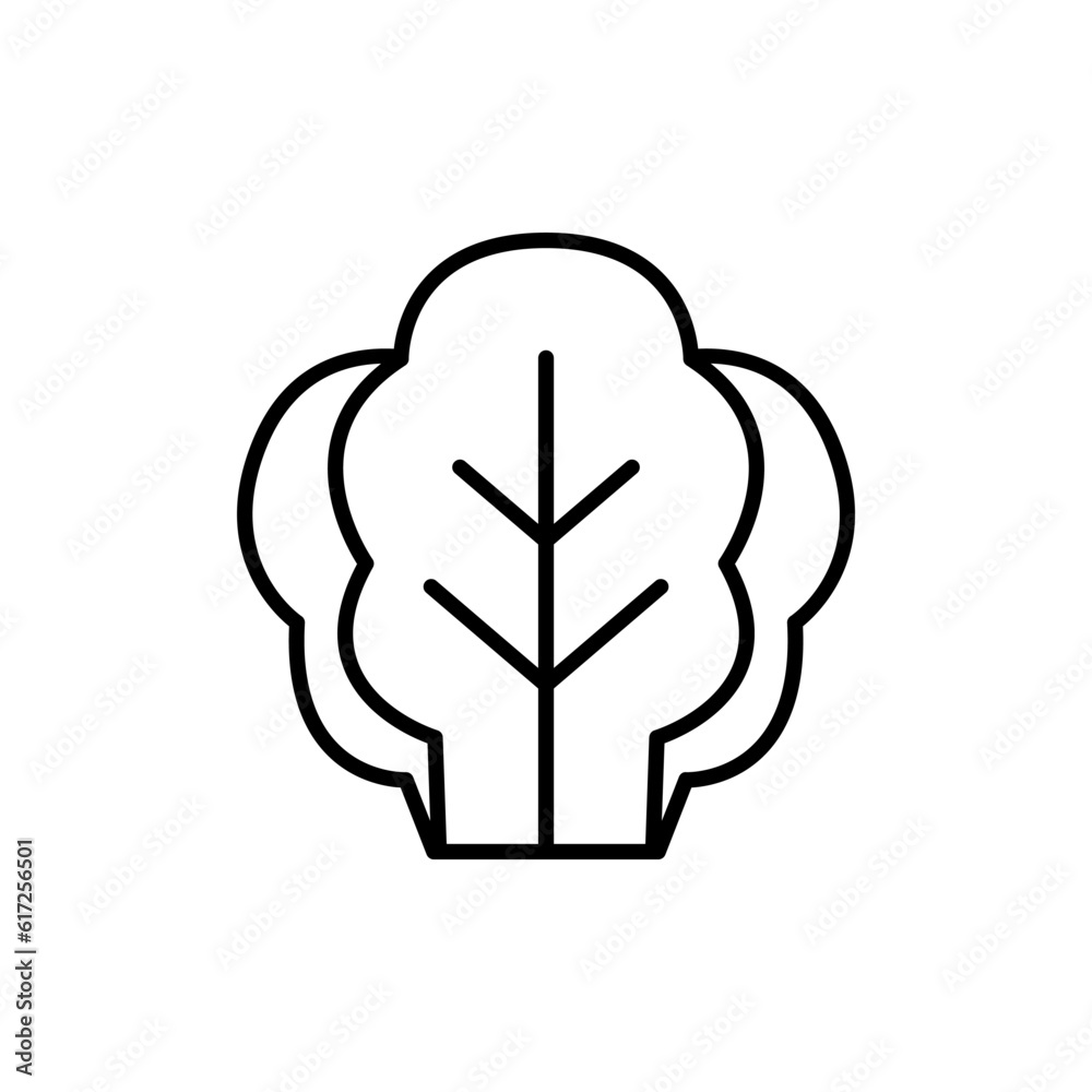Lettuce icon Lettuce icon
