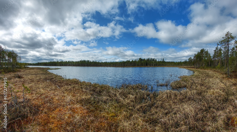 Boggy lakeside of a small lake in northern Sweden