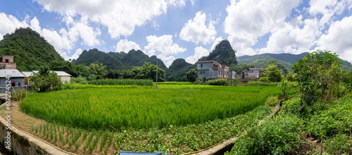 Chinese landscape in the mountains with a planted rice field in the foreground panorama