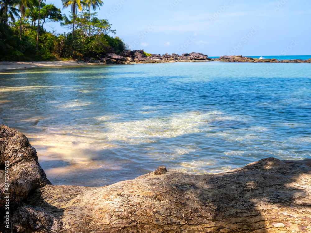 Beach scene, summer background. Close-up big tree trunk on the sand beach, coastline with tropical trees on rock hill, sea water and blue sky on sunny day. Bright seascape bay view.
