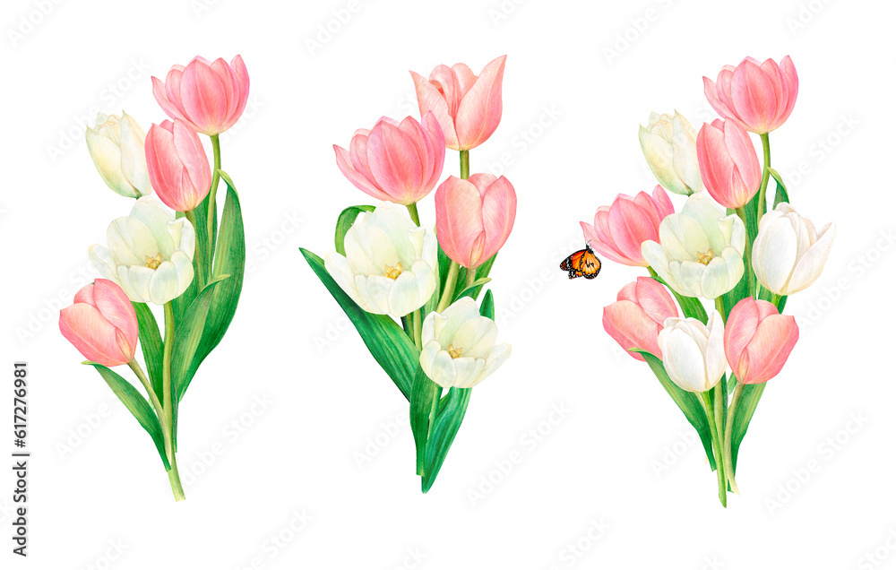 Fototapeta premium Watercolour drawing set of bouquets from beautiful pink and white tulip flowers on white background. Perfect for sticker, logo, napkin, textile printing