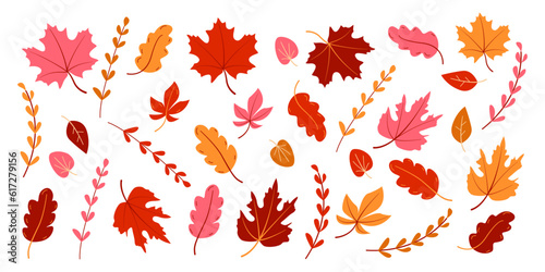Large set of leaves and branches in autumn colors. Pink, brown and yellow