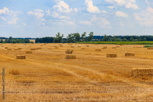 Rectangular straw bales on a field after the grain harvest photo
