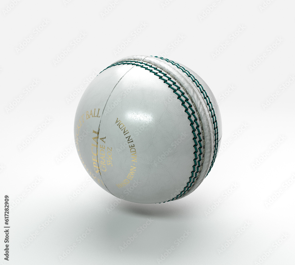 White Cricket Ball White Cricket Ball