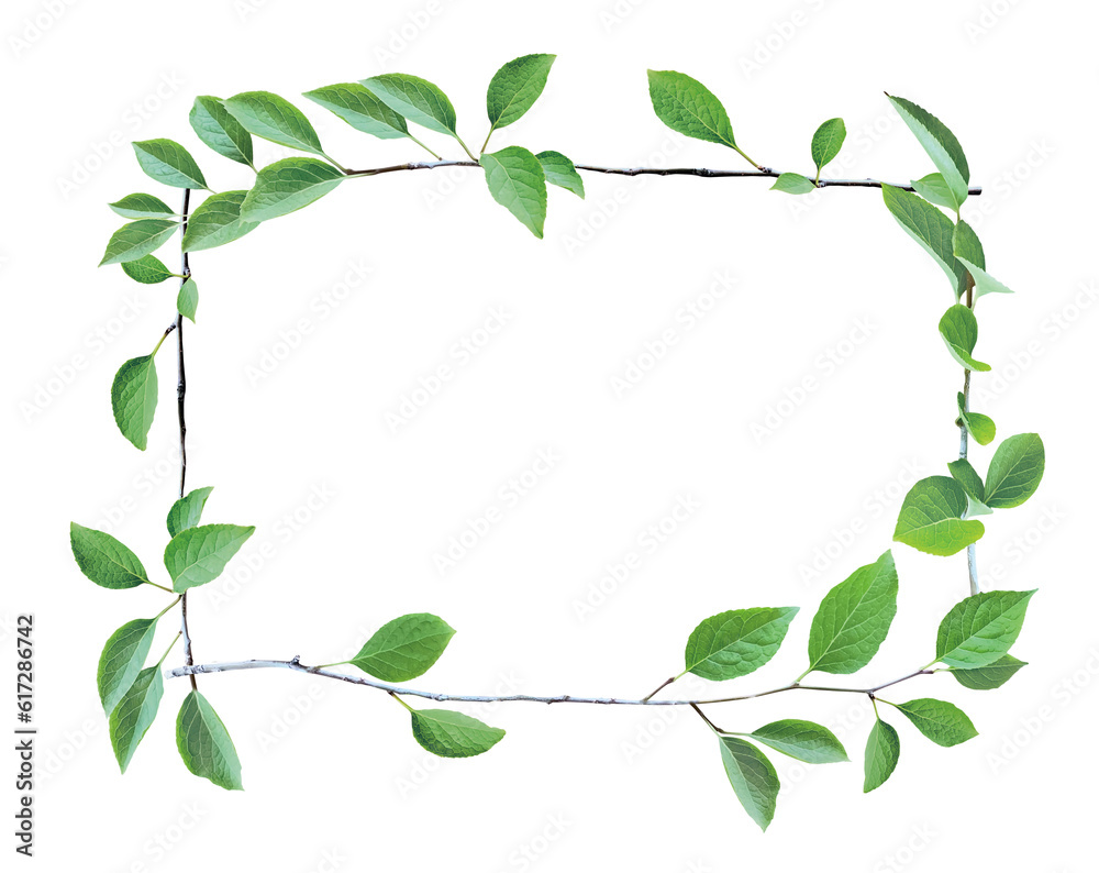 Naklejka premium 緑の葉っぱと枝のフレーム