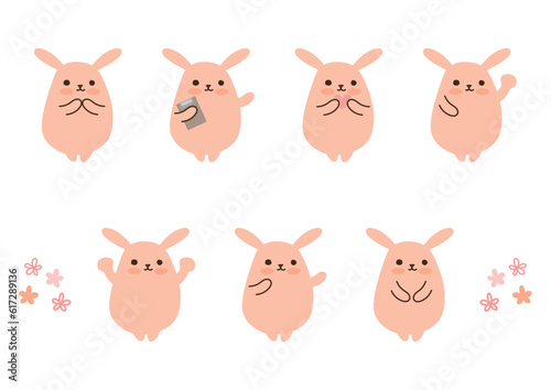 かわいいうさぎ、セット