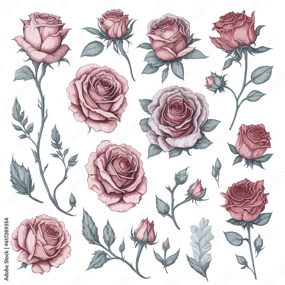 Set of Hand drawn Vintage pattern Rose flower  Design for fashion , fabric, textile, wallpaper, cover, web , wrapping and all prints