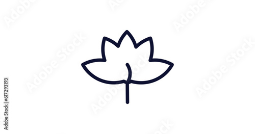 liquidambar leaf icon. Thin line liquidambar leaf icon from nature collection. Outline vector isolated on white background. Editable liquidambar leaf symbol can be used web and mobile