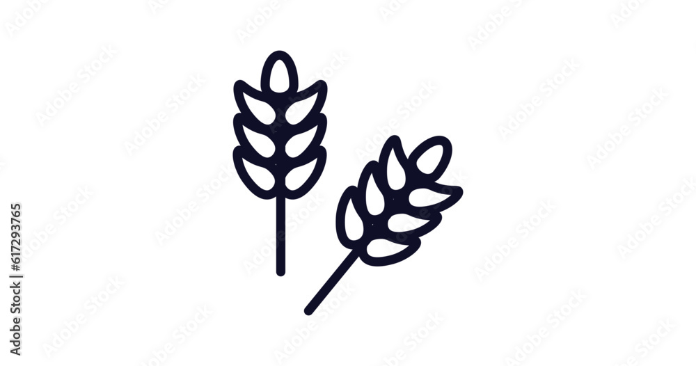 wheat icon. Thin line wheat icon from kitchen collection. Outline vector isolated on white background. Editable wheat symbol can be used web and mobile wheat icon. Thin line wheat icon from kitchen collection. Outline vector isolated on white background. Editable wheat symbol can be used web and mobile