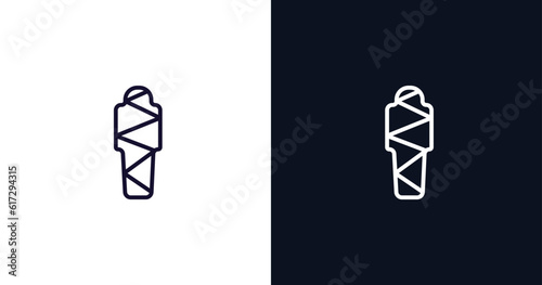 egypt icon. Thin line egypt icon from history collection. Outline vector isolated on dark blue and white background. Editable egypt symbol can be used web and mobile