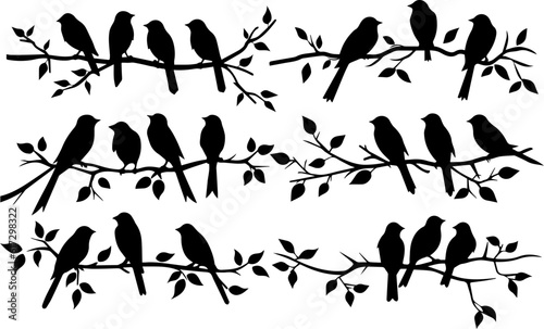 Tree branch bird vector images