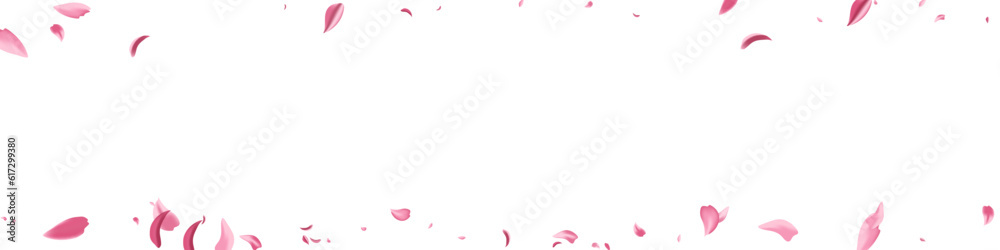 Beautiful Petal Fly Vector White Panoramic Beautiful Petal Fly Vector White Panoramic