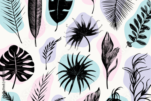 illustration set of tropical plants and leaves, hand drawn style, outline sketch.
