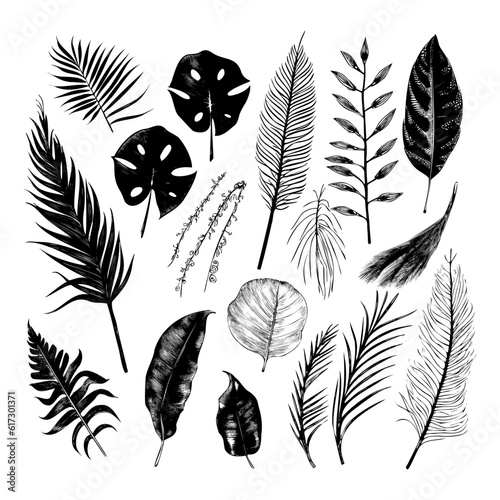 illustration set of tropical plants and leaves, hand drawn style, outline sketch.