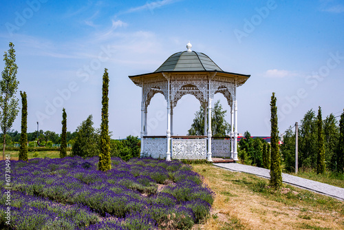 wooden white carved gazebo for resting and meditations in a lavender field on a sunny summer day