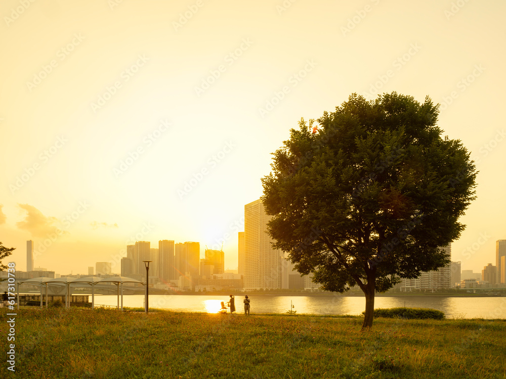 豊洲ぐるり公園の夕景 水辺の風が気持ち良い