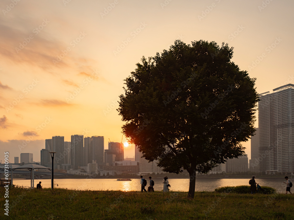 豊洲ぐるり公園の夕景 水辺の風が気持ち良い