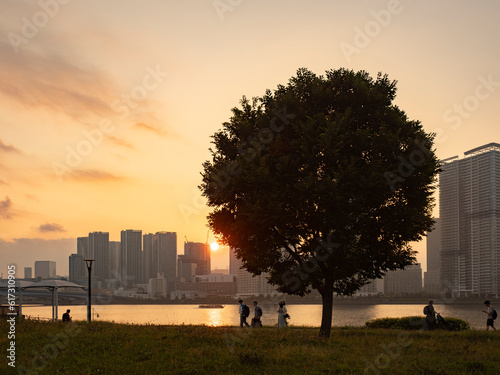 Obraz na płótnie 豊洲ぐるり公園の夕景 水辺の風が気持ち良い w salonie