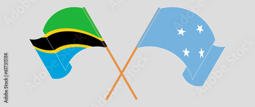 Crossed and waving flags of Tanzania and Micronesia