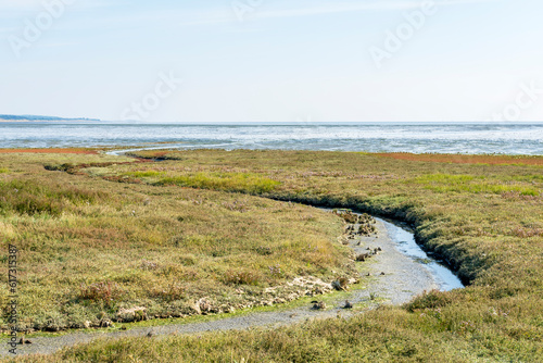 During low tide, the water flows back to the Wadden Sea from the island of Vlieland via these channels
