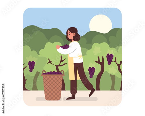 Cartoon girl picks grapes in basket in vineyard. Process of making alcoholic drinks. Winemaking using organic grapes. Wine production industry. Vector illustration