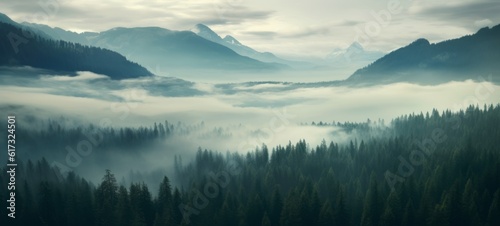 Amazing mystical rising fog forest trees mountain peak landscape panorama banner - Valley view of mountains (Generative Ai) © Corri Seizinger