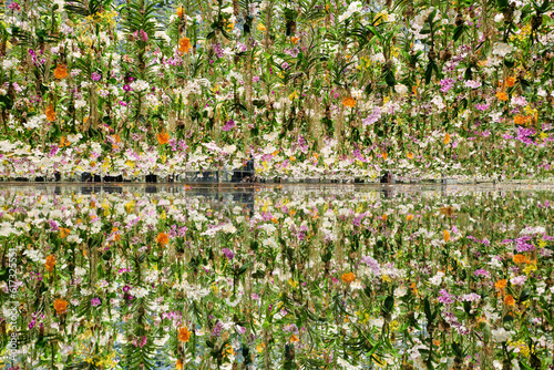 Teamlab Garden Tokyo