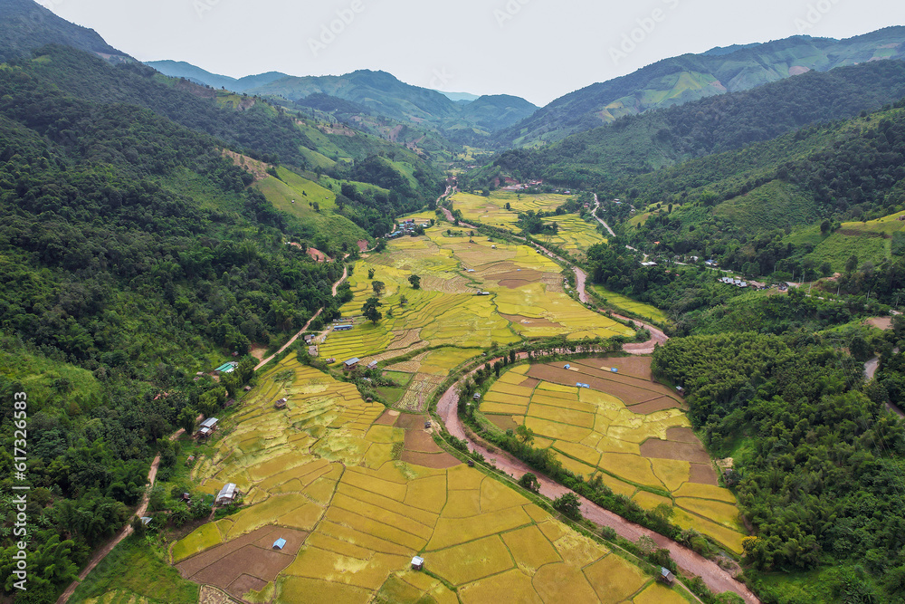 Aerial view of the yellow rice field, grew in different pattern, soon to be harvested and .surrounded by green mountains at Nan, Thailand.