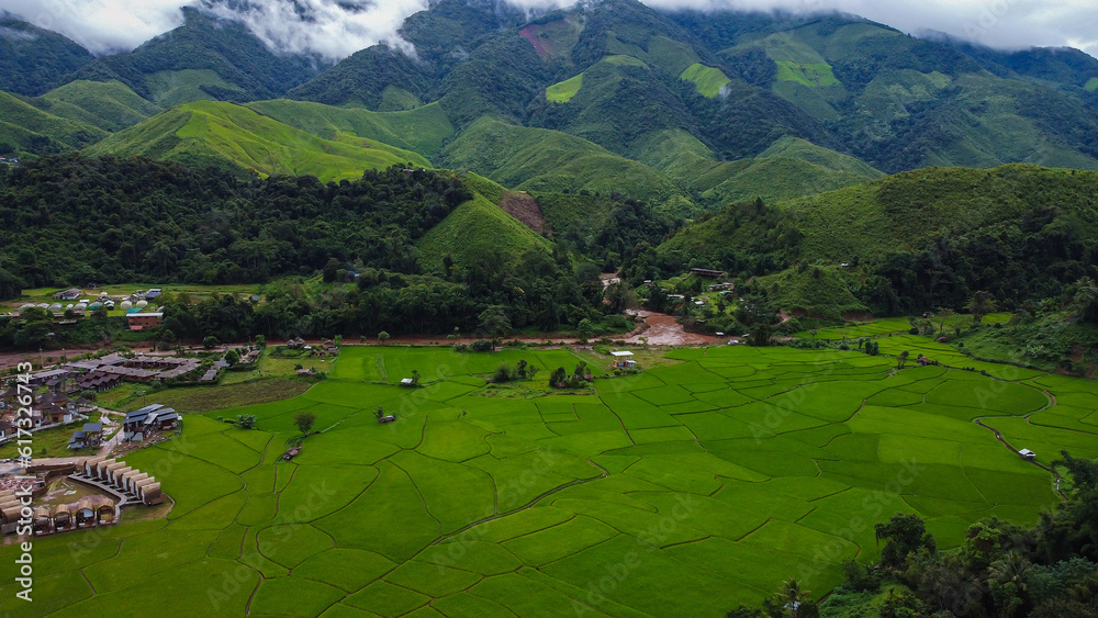 Beautiful aerial view of the green rice field and green mountain, Nan, Thailand.