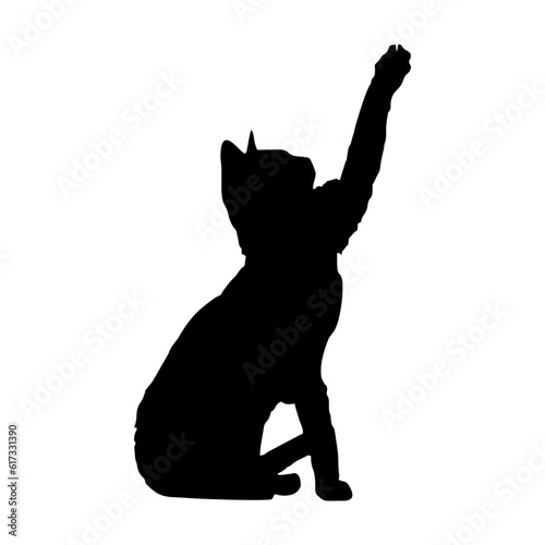 Vector isolated cat silhouette, logo, print, decorative sticker