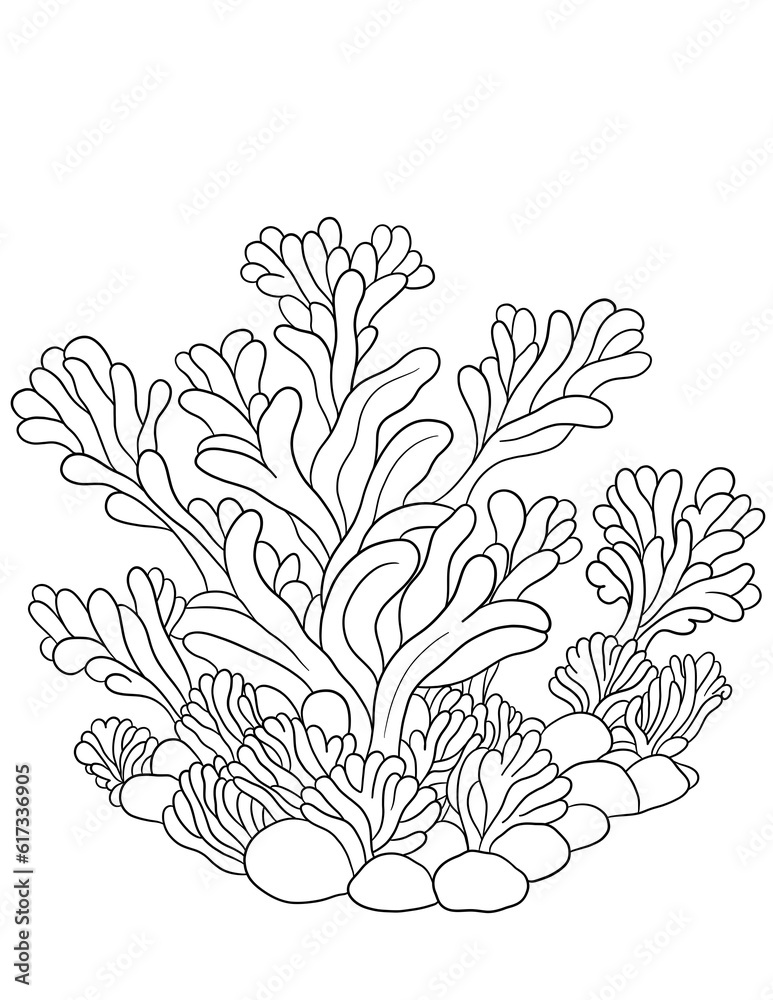 undersea undersea