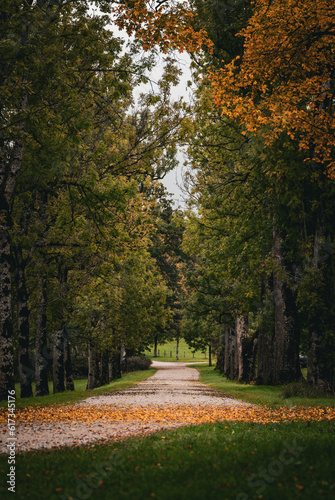 avenue