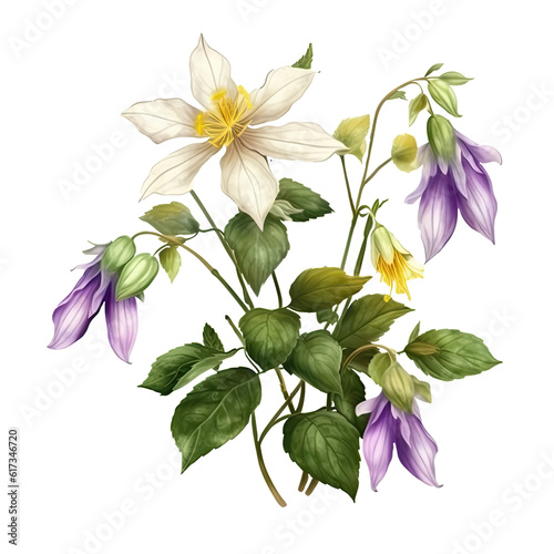 White and Purple Hibiscus Flower and Leaves Arrangement for Bouquet. Vector Illustration.