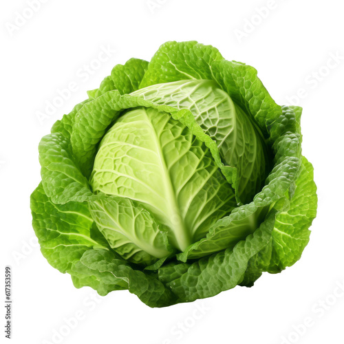 Head of Fresh Cabbage Isolated on Transparent Background Food Illustration