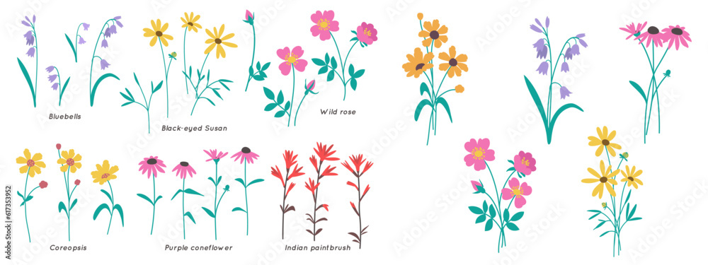 This flower clip art set includes hand-drawn wildflower elements and bouquets. Nature-inspired minimalistic and simple bundle. Vector illustration.

