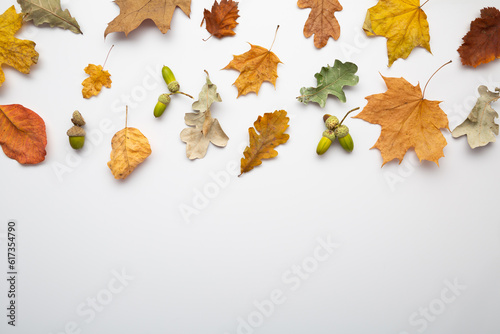 Autumn background with dry oak leaves