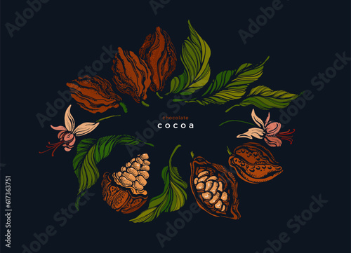 Cocoa fruit, symbol. Organic black raw chocolate
