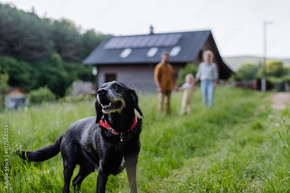 Family with their dog walking near their house with photovoltiacs panels on the roof. Family with their dog walking near their house with photovoltiacs panels on the roof.