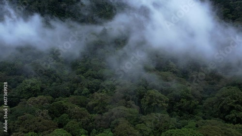 Aerial drone flying down a tropical, rain forest. Fog and green trees top view. Concept of beautiful mountain and landscape