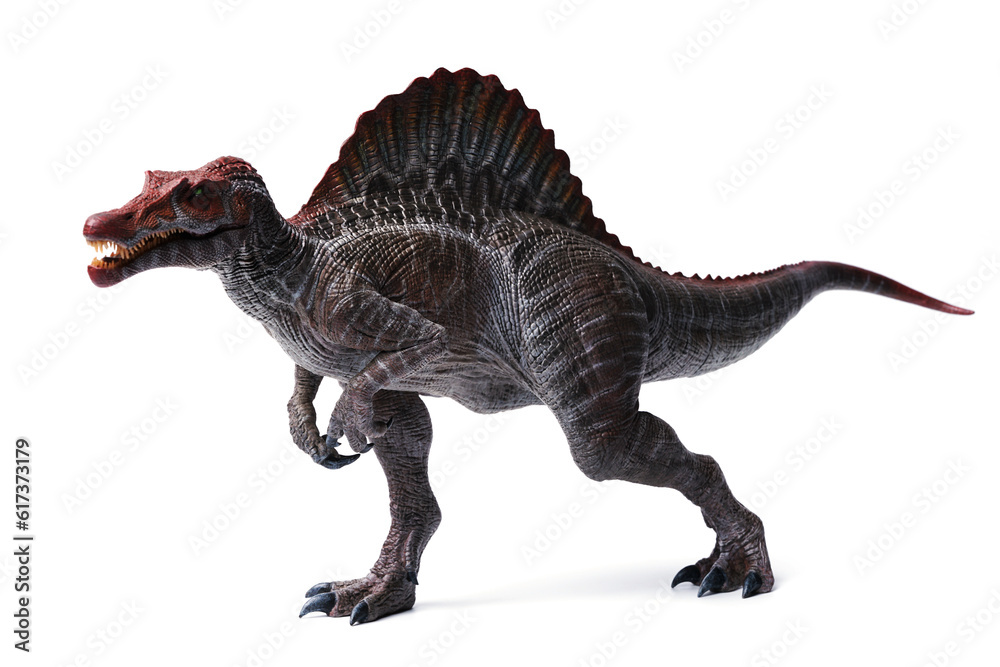 Obraz premium spinosaurus toy stands isolated on white background.